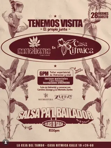 Taller experencial de hidromiel y miel, con clase de salsa